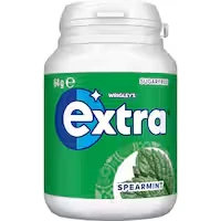 extra chewing gum spearmint 46 pieces