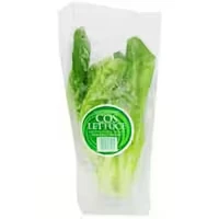 fresh vegetable lettuce cos